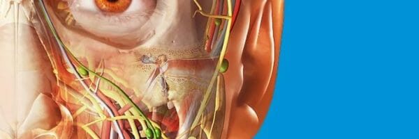 visible body Visible Body