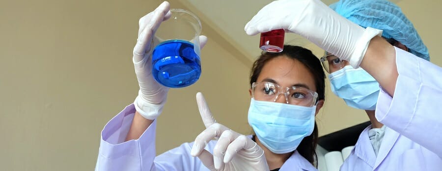 two researchers researching in laboratory