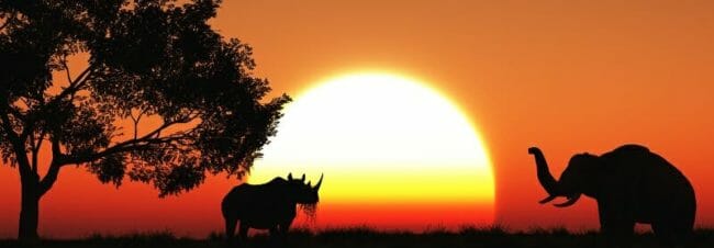 3D african landscape at dusk