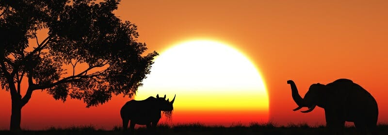 3D african landscape at dusk